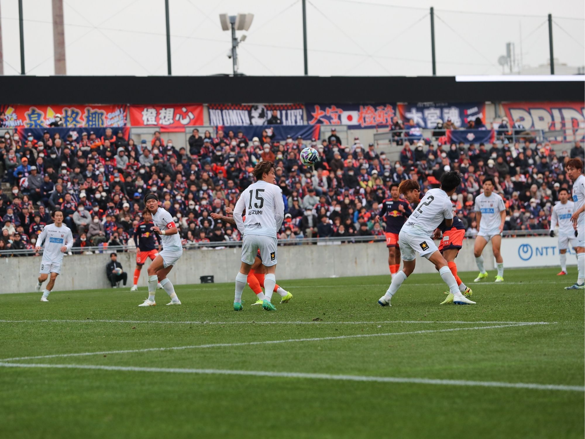 山本、百花繚乱。好青年が加える新たな色