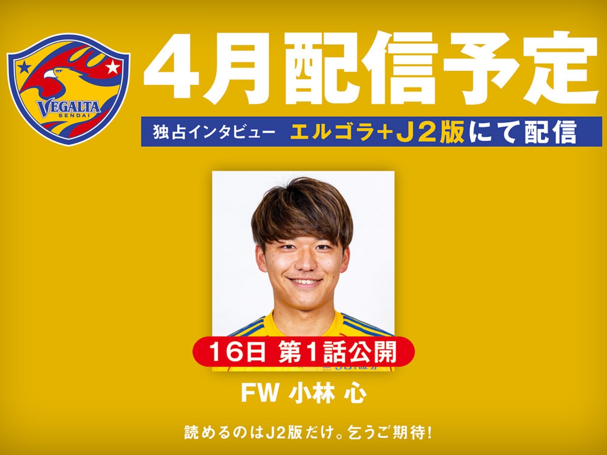 【予告】小林心インタビュー