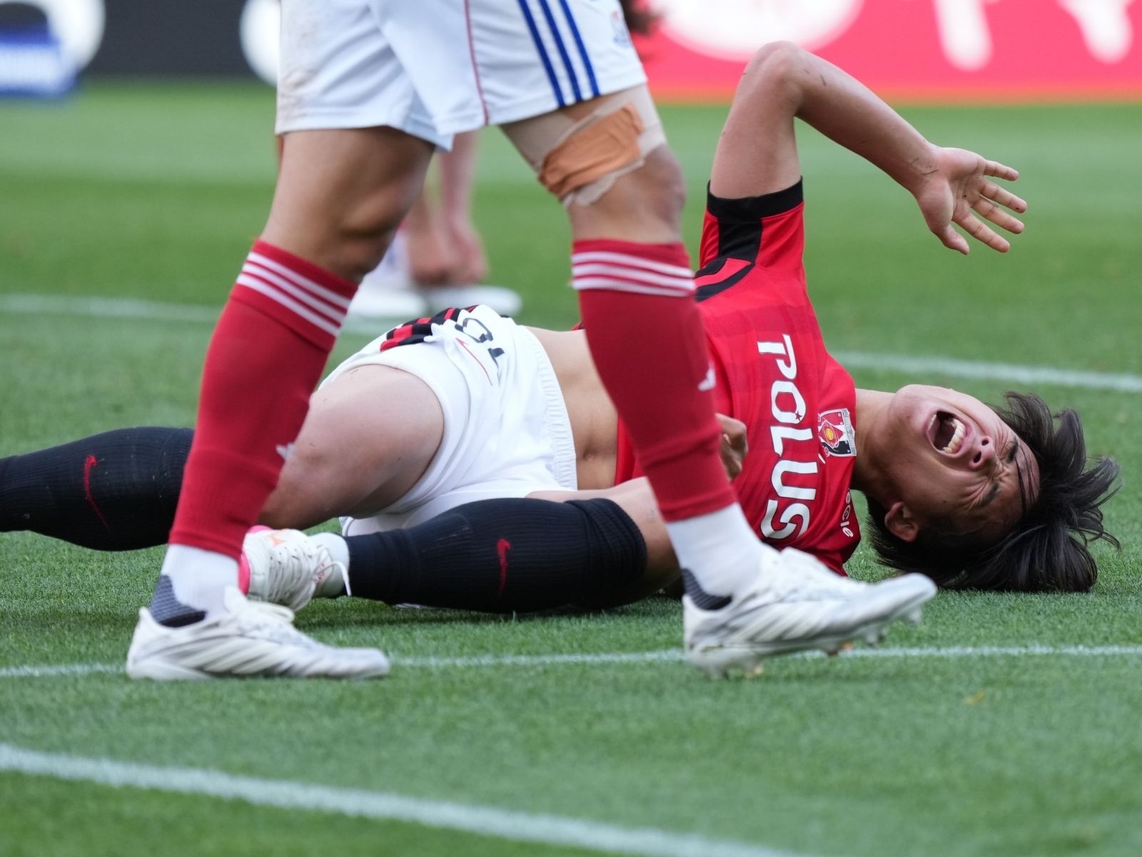 見たまま、撮ったまま 第955回