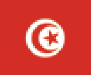 チュニジア代表